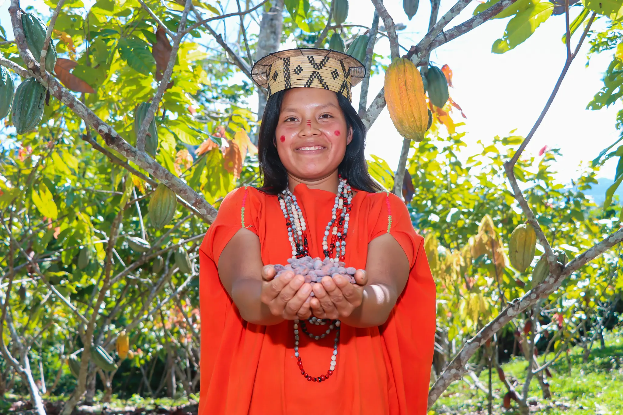 FOTO EN CAMPO DE CACAO 12 Socia Aprochok